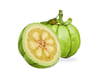 Garcinia Cambogia