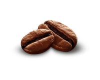 Coffee Bean