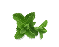 Stevia