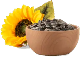 Vitamin E